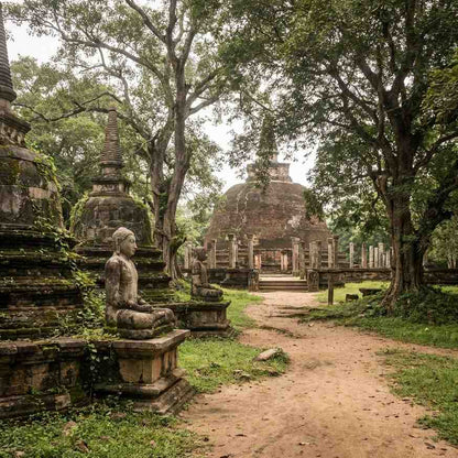 Sri Lanka Heritage & Temple Trail