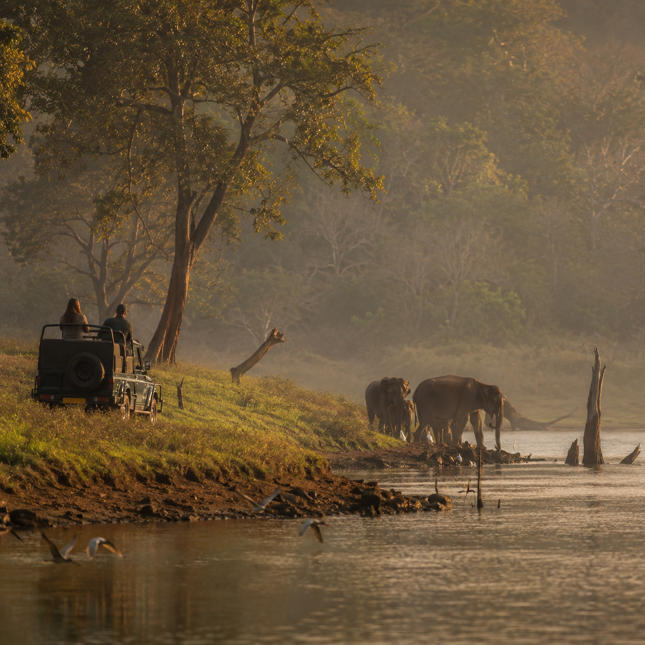Kantaka Coffee, Wildlife & Royal Heritage Tour