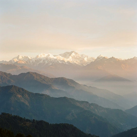 Eastern Himalaya Discovery: Sikkim & Darjeeling