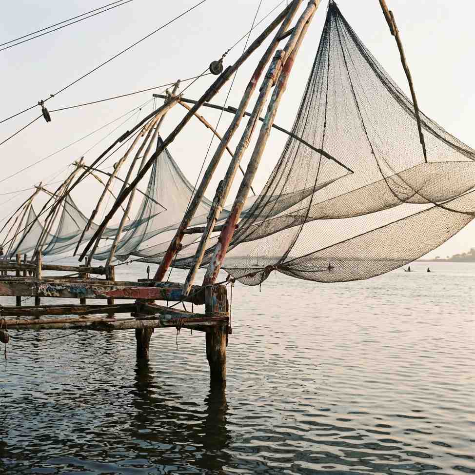 Kerala Backwaters & Hills Escape