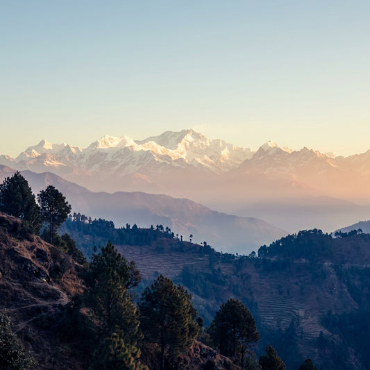 Sacred India & Himalayan Nepal Odyssey