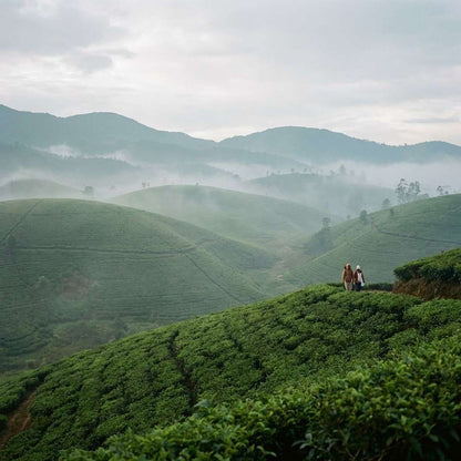 Romantic Escape to Sri Lanka