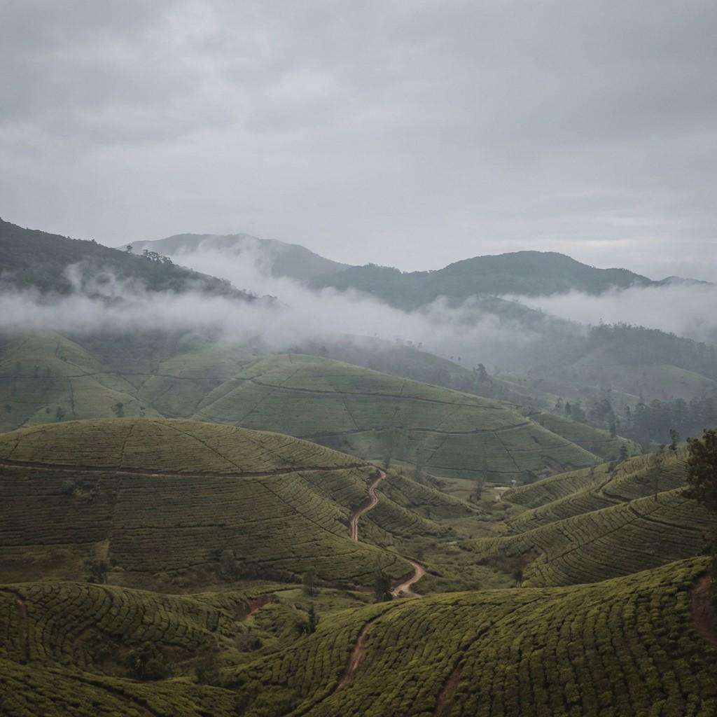 The Grand Sri Lanka Discovery Tour