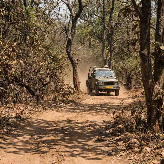 Central India Heritage & Wilderness Odyssey