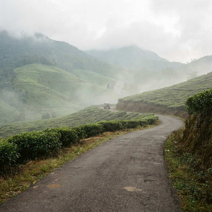 Romantic Escape to Sri Lanka