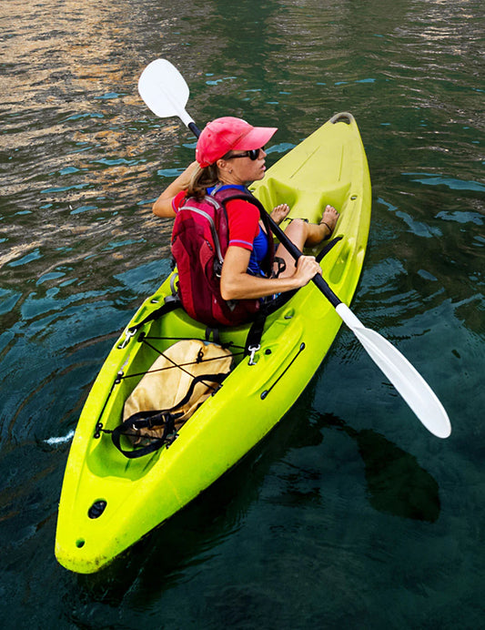 Caves to the Coast : The Mumbai to Goa Grand Escape